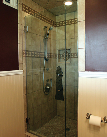 Frameless Shower Door